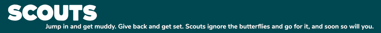 Scouts page banner